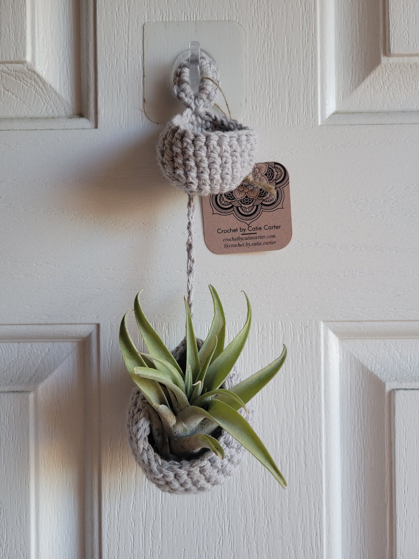 Air Plant Hangers