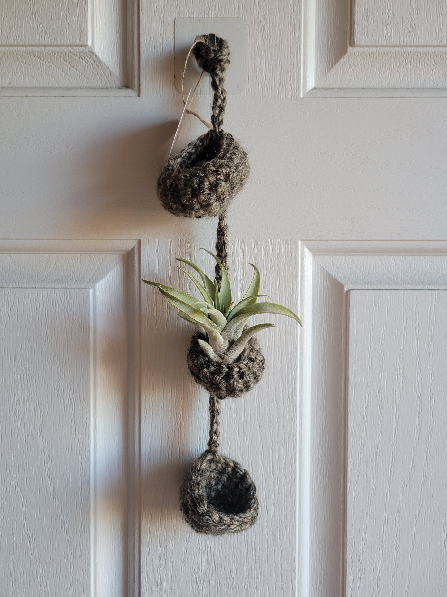 Air Plant Hangers