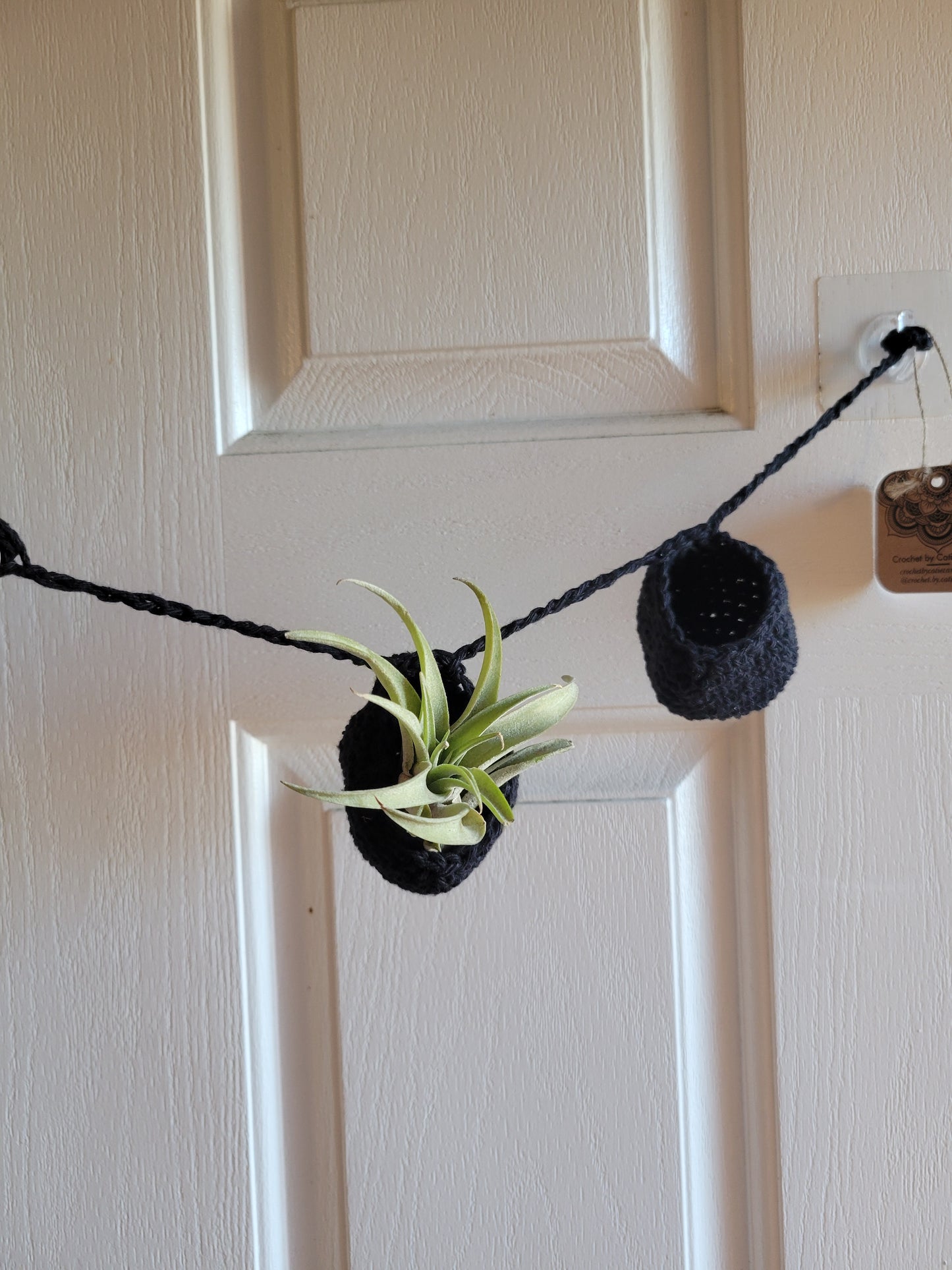 Air Plant Hangers