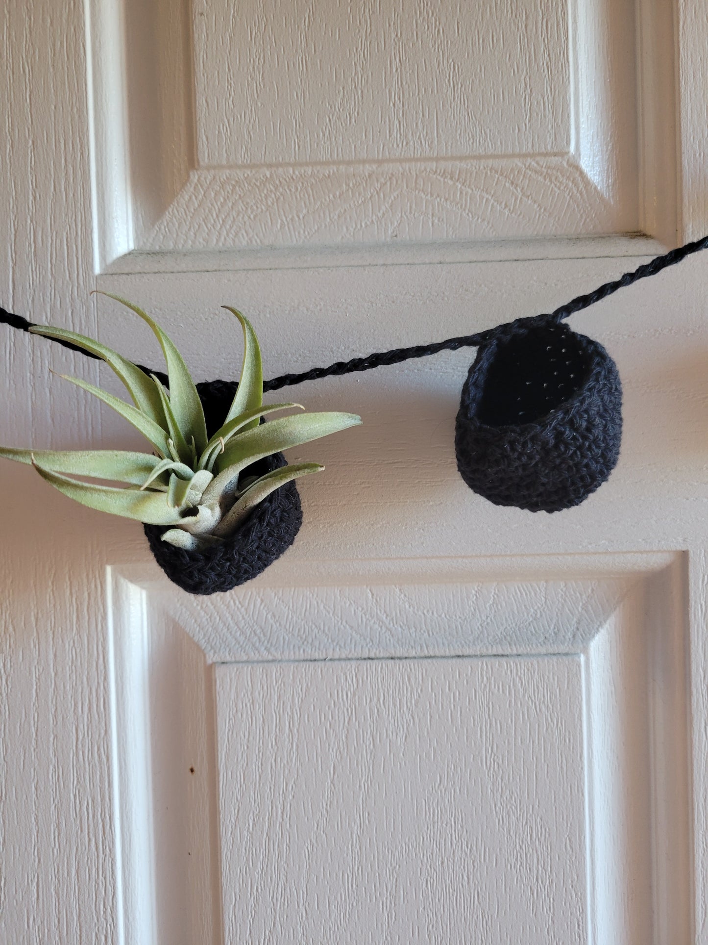 Air Plant Hangers