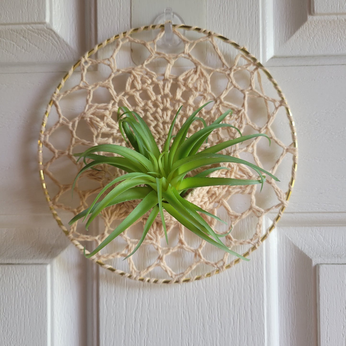 Air Plant Hangers