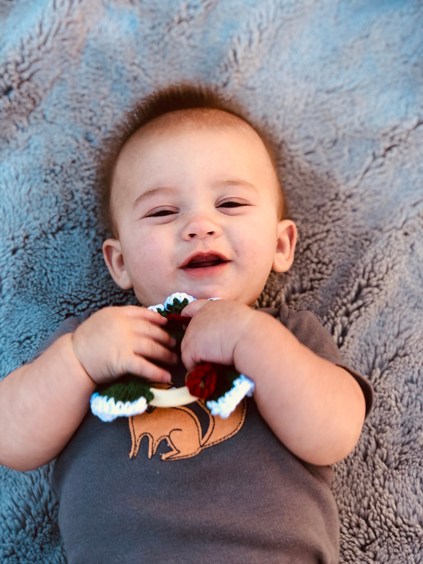 Holiday Freezer Teethers