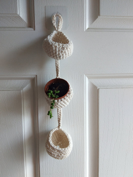 Air Plant Hangers