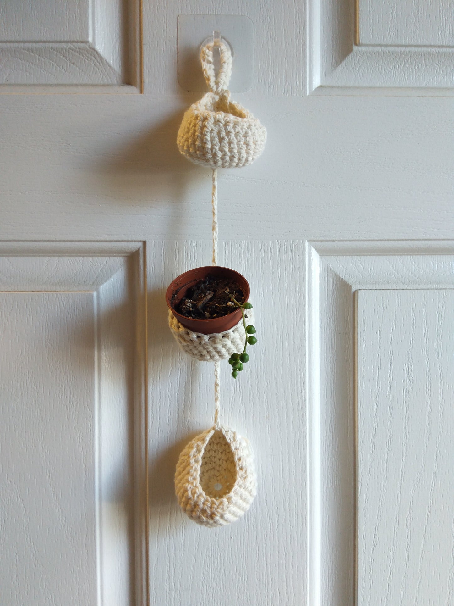 Air Plant Hangers