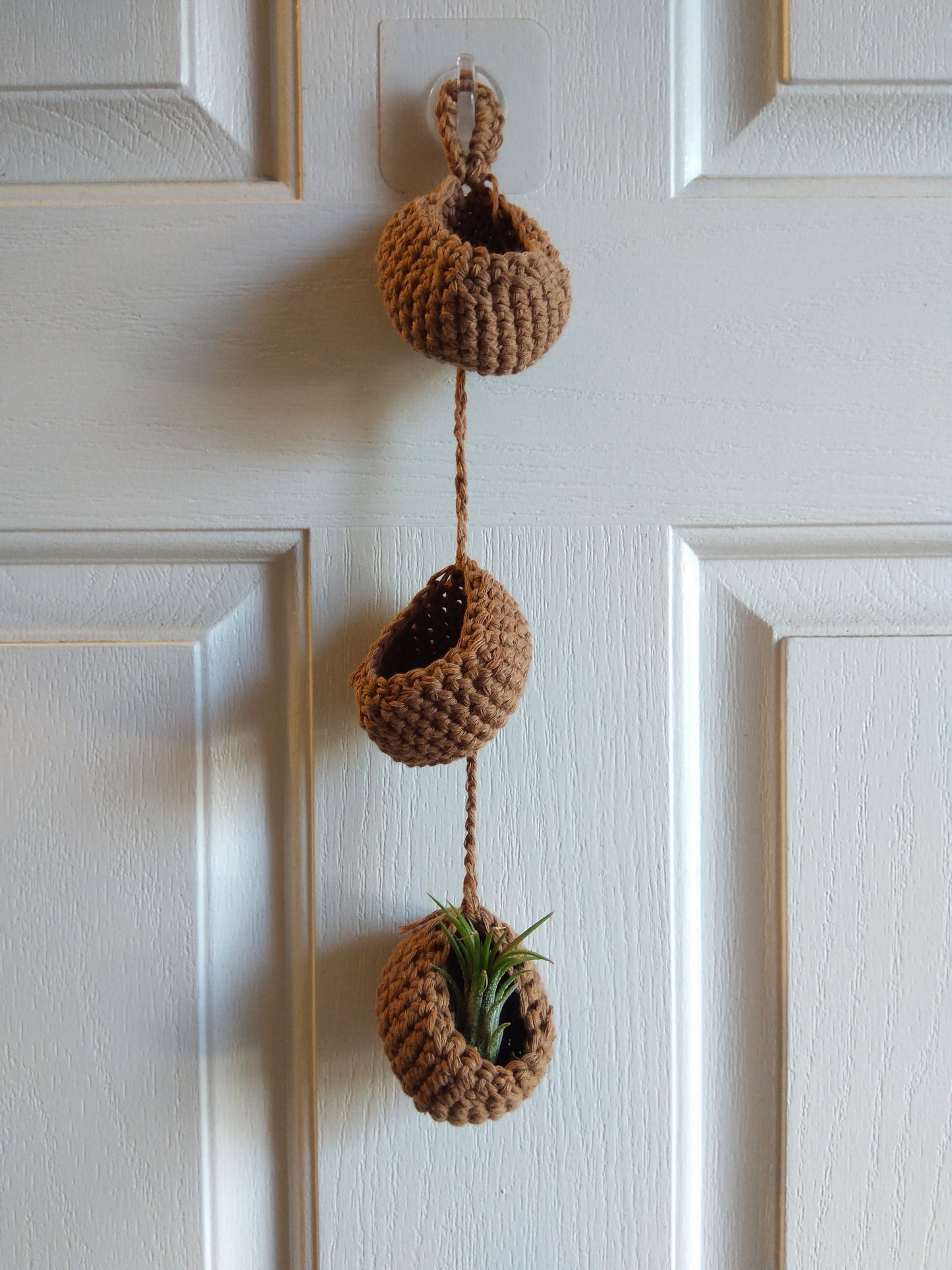 Air Plant Hangers