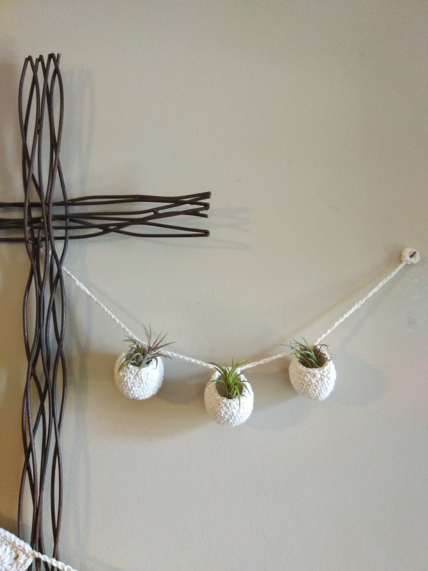 Air Plant Hangers