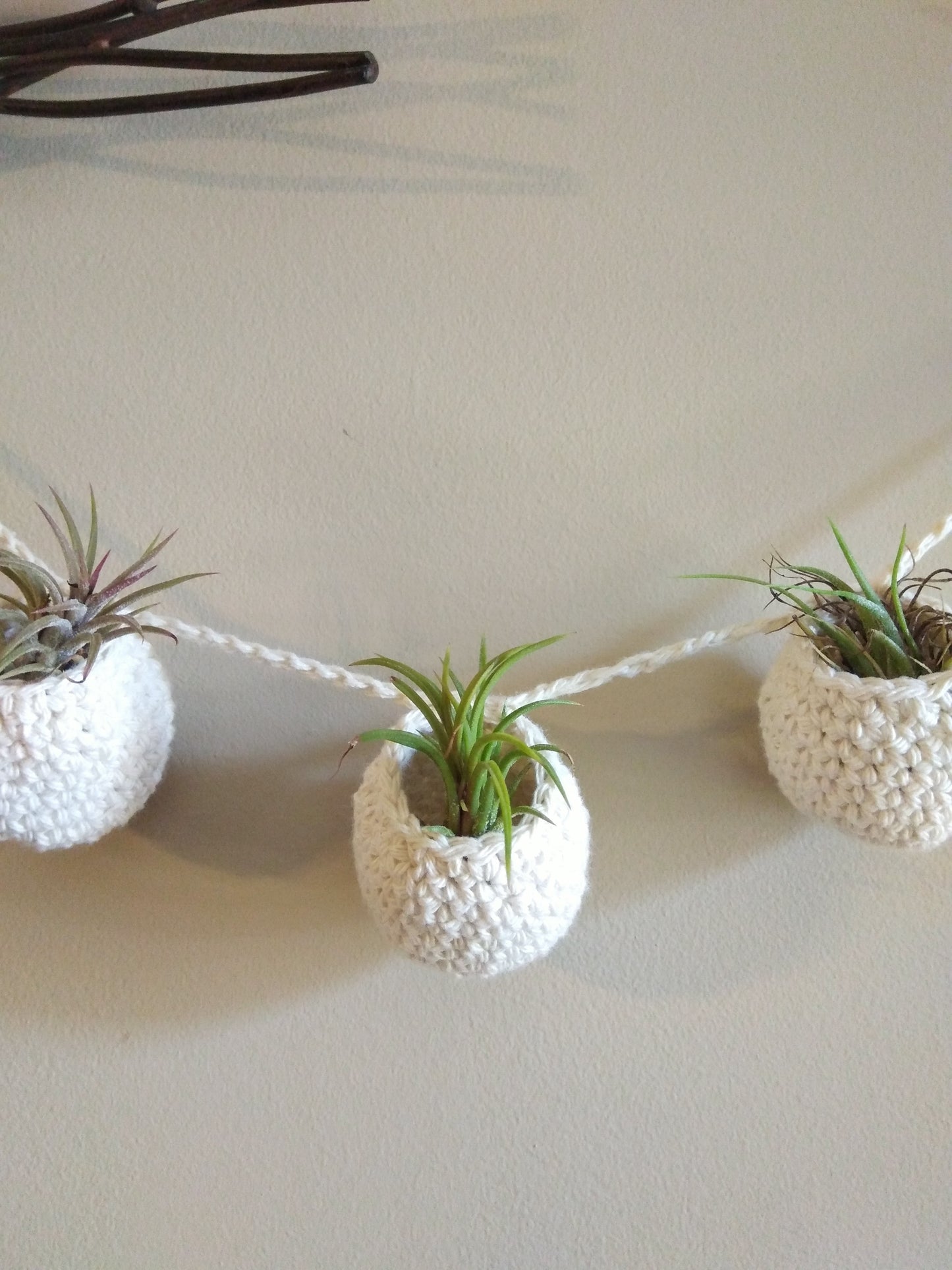 Air Plant Hangers