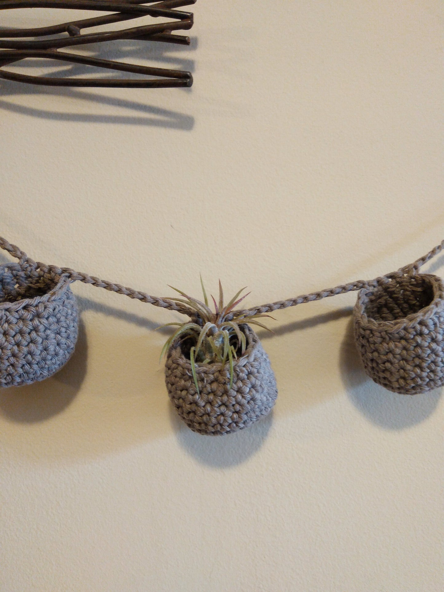 Air Plant Hangers