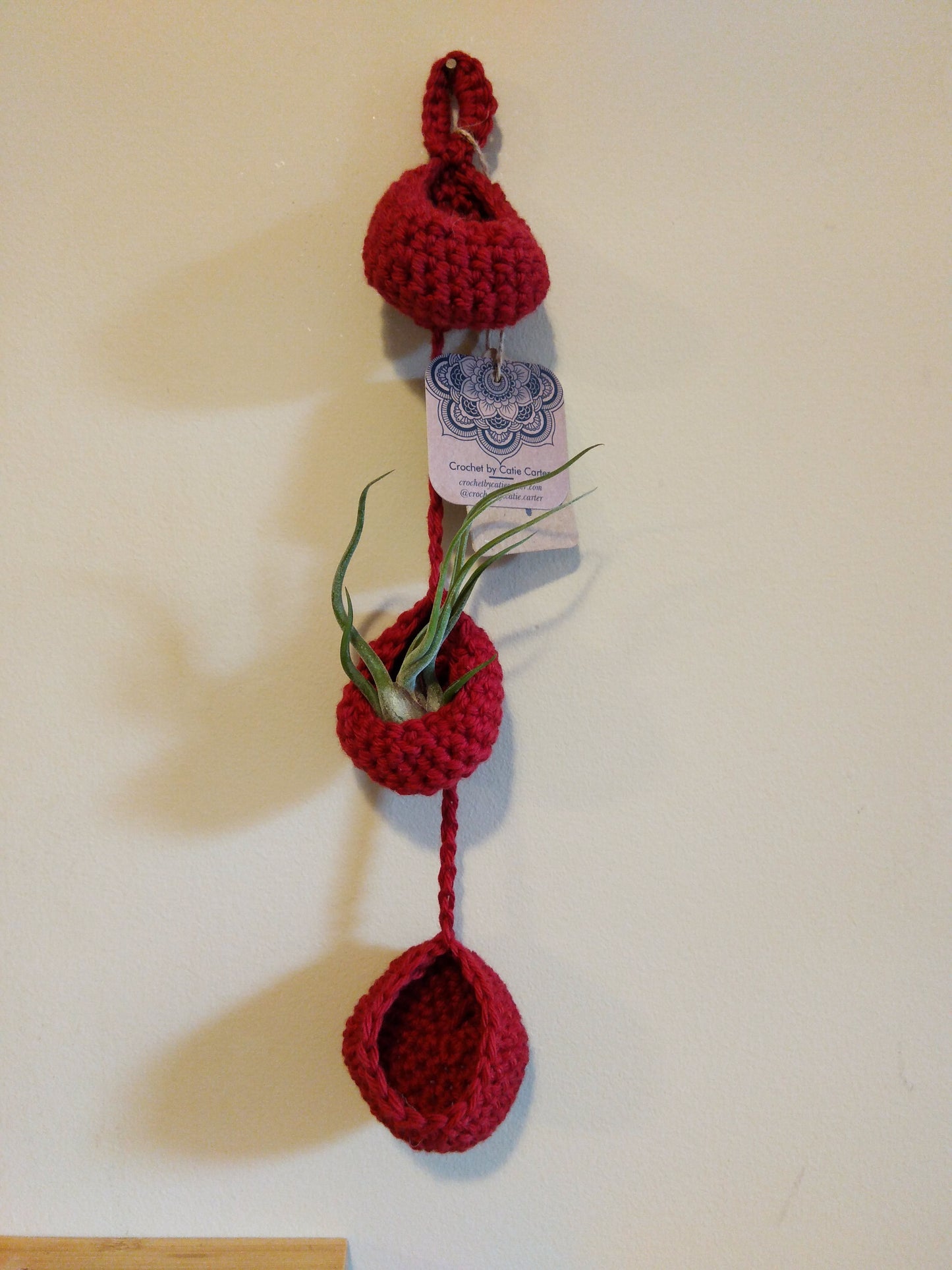 Air Plant Hangers